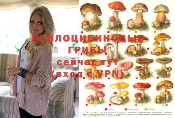 кокаин премиум Аркадак